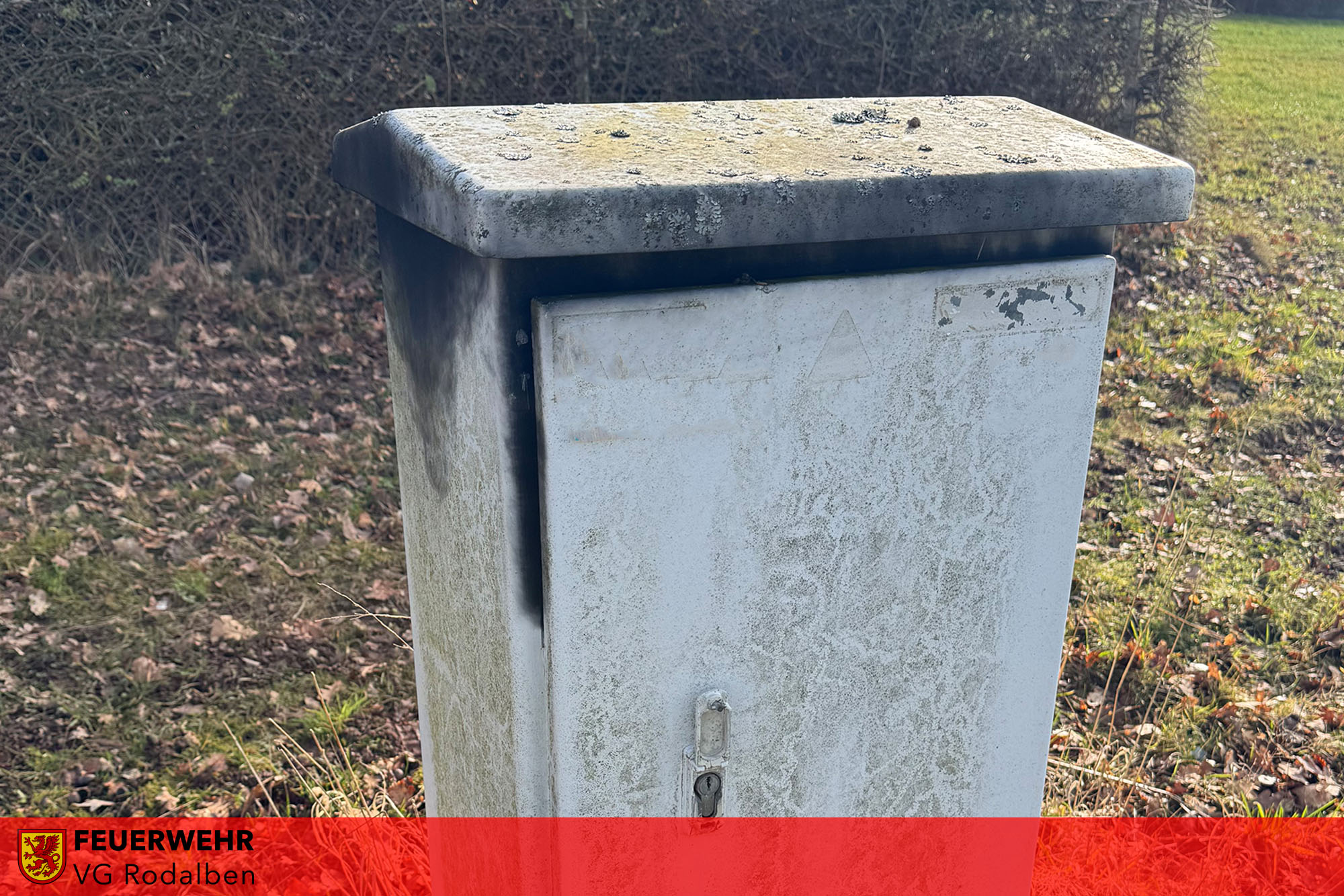 Dynamic Content Image